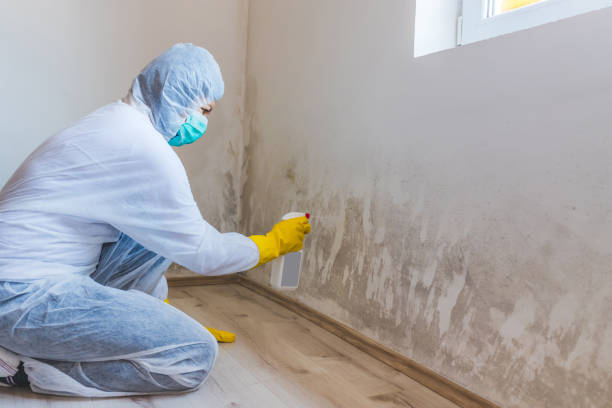 Mold inspector in Cambridge performing thermal imaging
