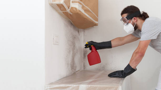 Attic Mold Remediation treatment on roof deck in Cambridge